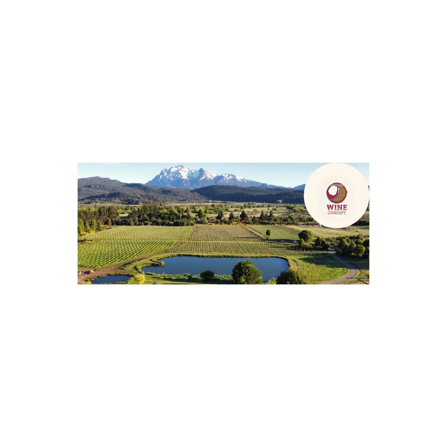 El-encanto-del-Pinot-Noir-patagónico 0es3.store