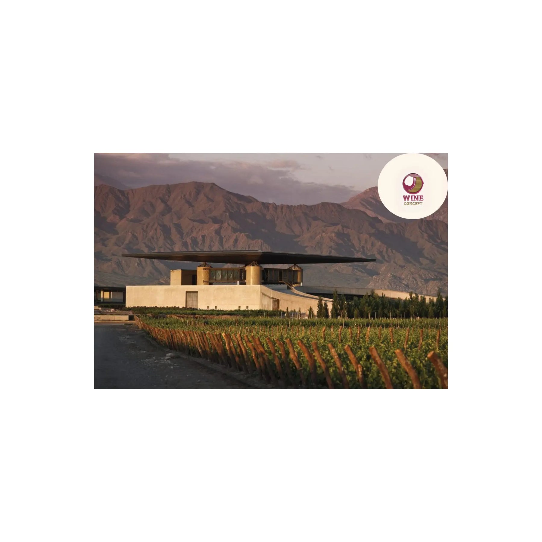 Vino y arquitectura 🏛🍷 — WineConcept
