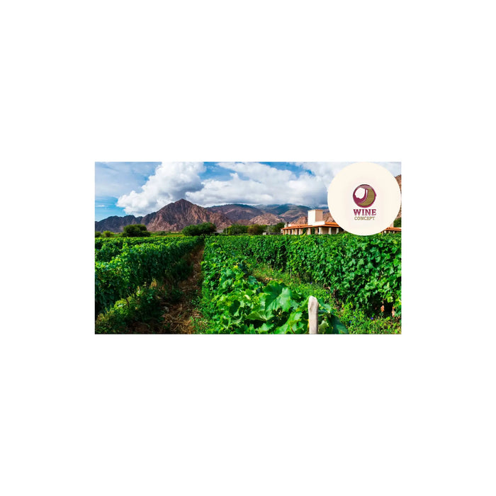 Vinos-de-altura-cuando-la-montaña-dicta-carácter 0es3.store