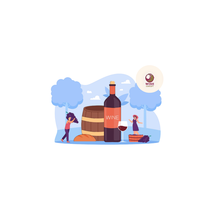 🌍 Vinos que salvan el planeta