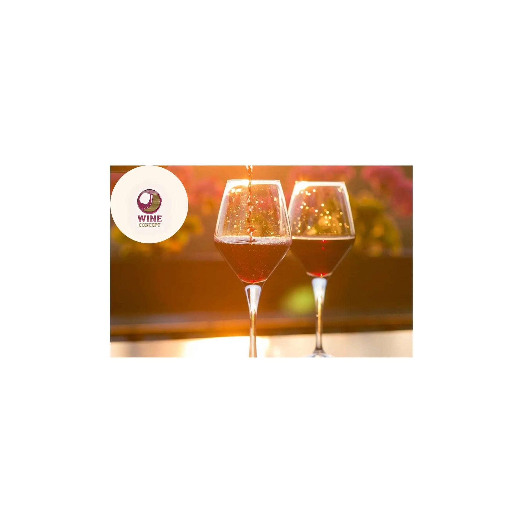 Vinos-con-destino-limitado 0es3.store
