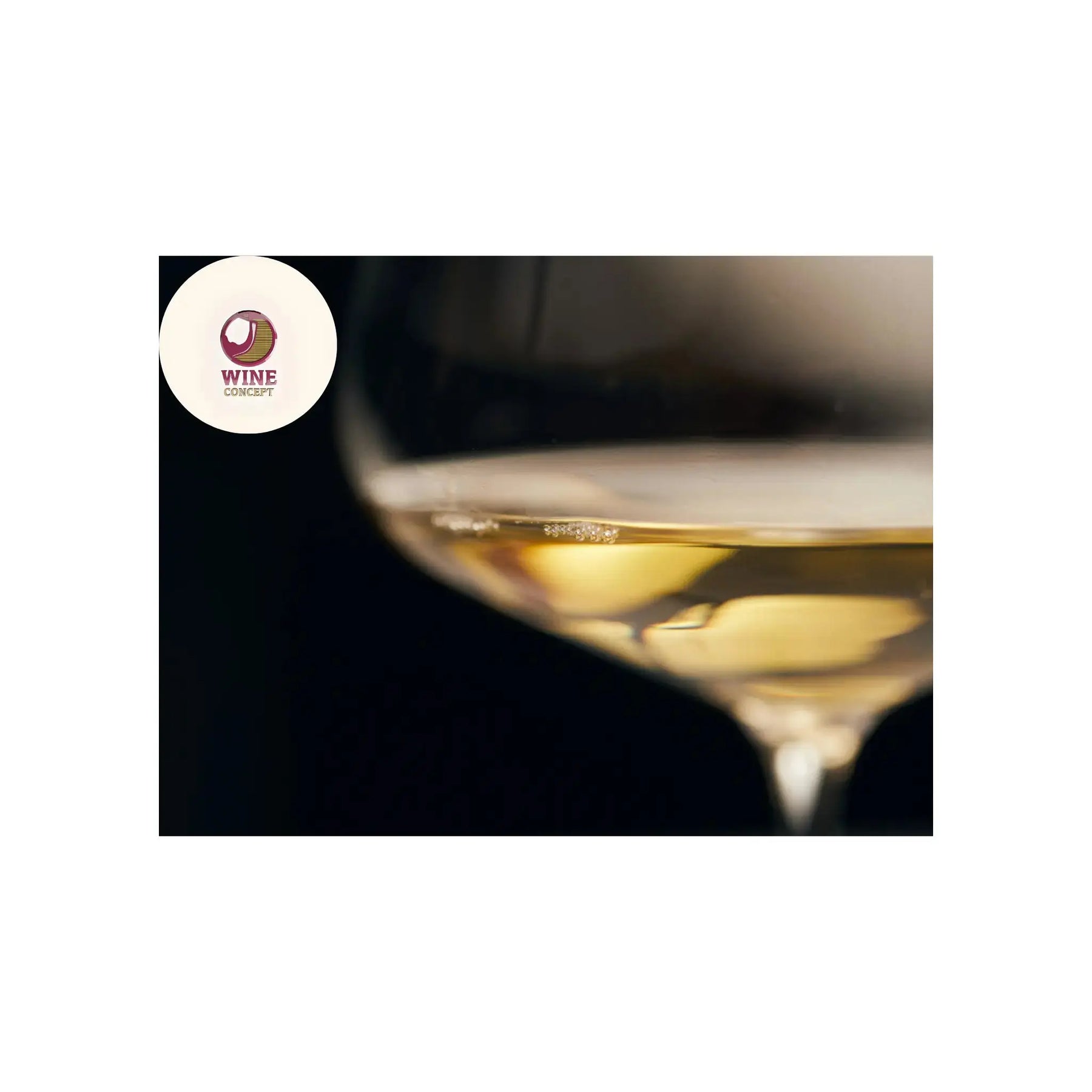 La-nueva-cara-del-Chardonnay-argentino-frescura-altura-y-estilo-borgoñón 0es3.store