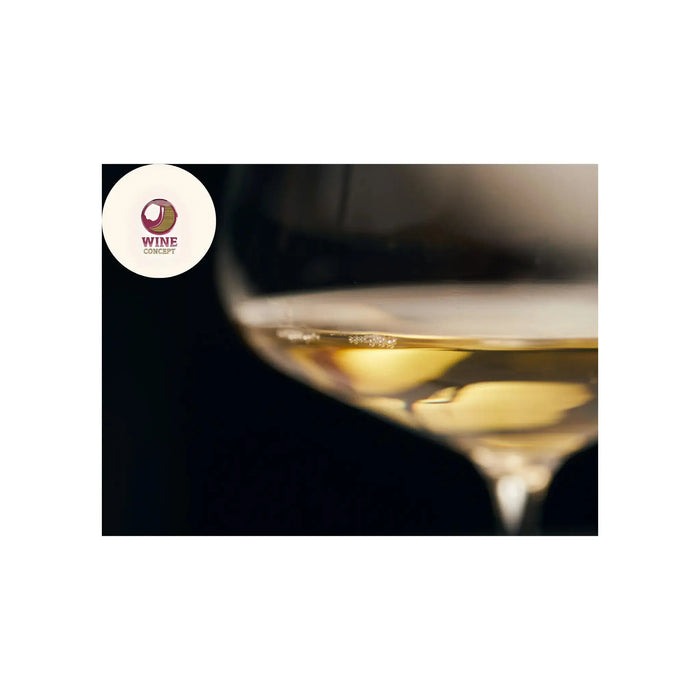La-nueva-cara-del-Chardonnay-argentino-frescura-altura-y-estilo-borgoñón 0es3.store