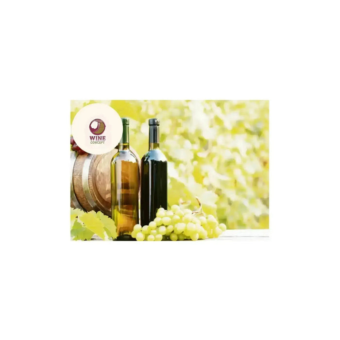 Vinos-orgánicos-y-biodinámicos-en-Argentina-bodegas-que-apuestan-por-la-sustentabilidad 0es3.store