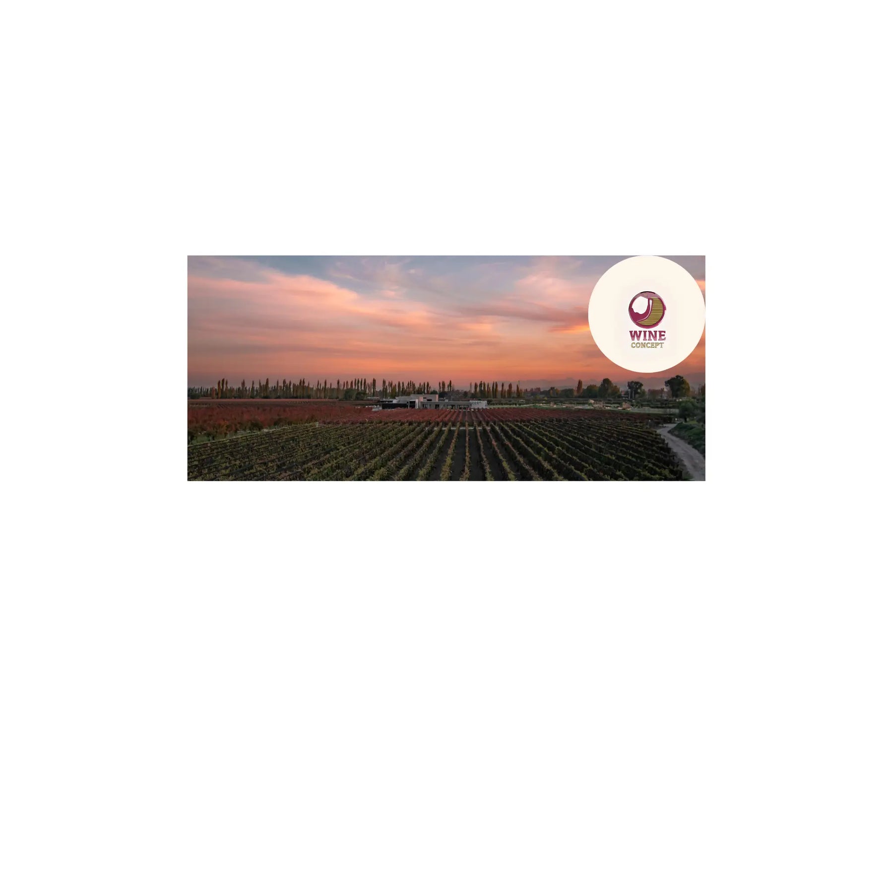 Bodega-Durigutti-Voces-honestas-del-terroir-de-Las-Compuertas 0es3.store