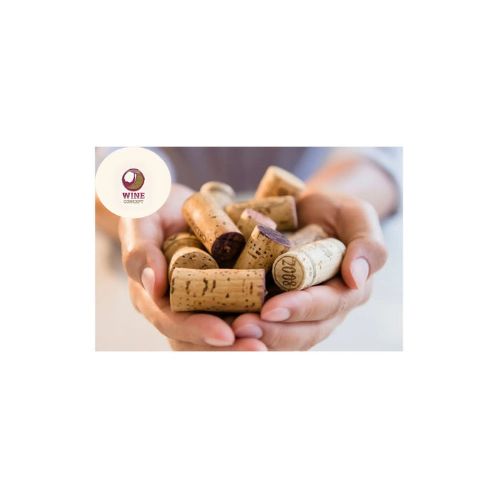 El-ADN-del-corcho 0es3.store