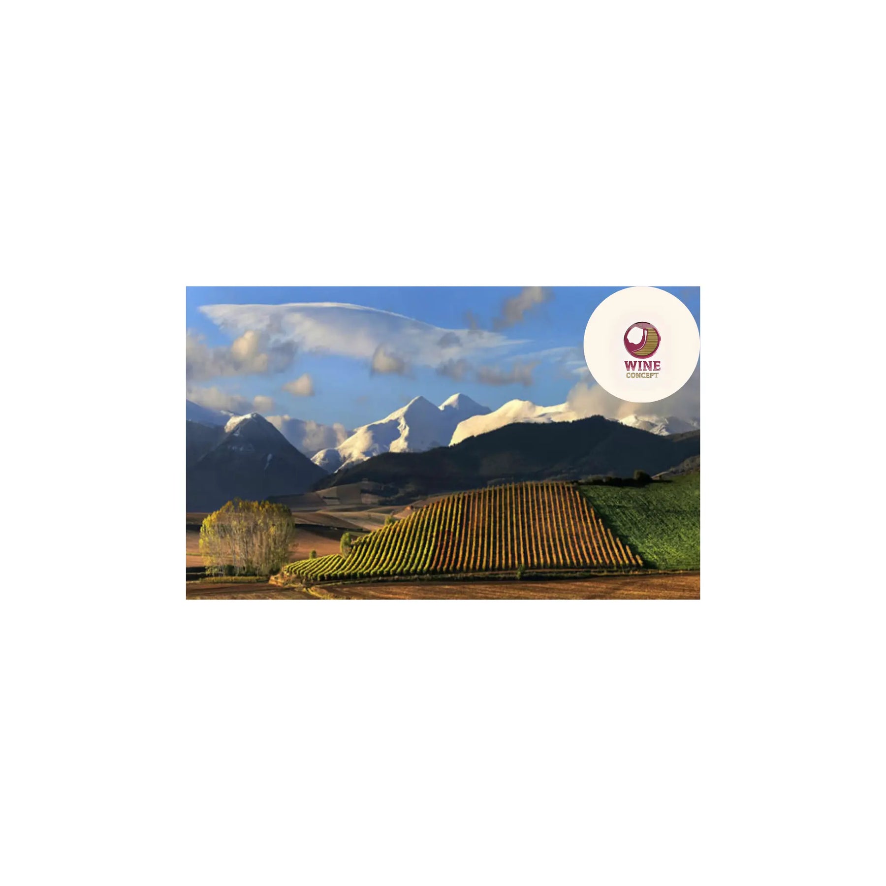 Regiones-Terruños-un-viaje-por-el-alma-del-vino 0es3.store