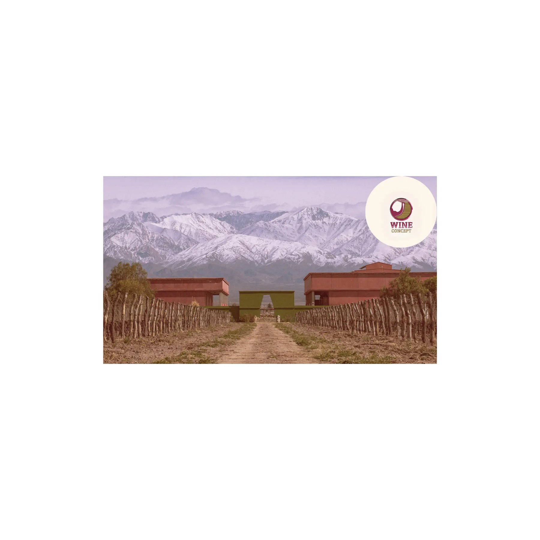 Los-herederos-del-vino-la-nueva-generación-Catena 0es3.store