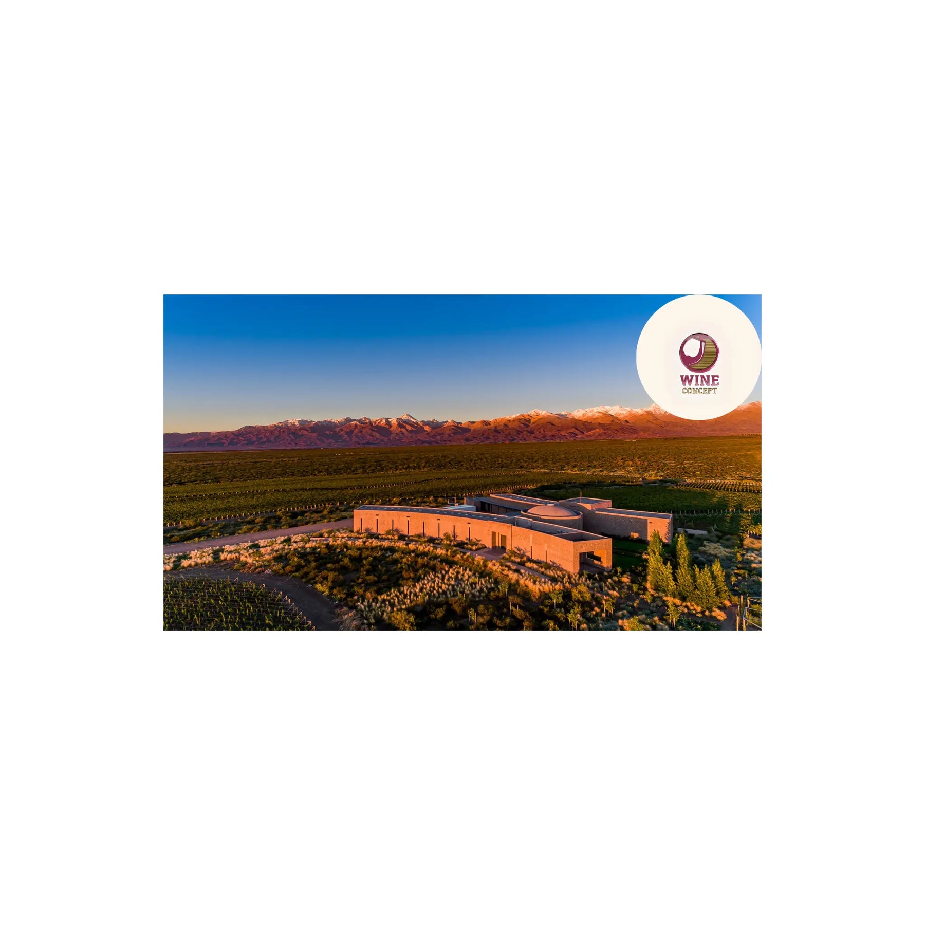 Bodega-Bemberg-un-legado-reinventado-en-el-corazón-del-Valle-de-Uco 0es3.store