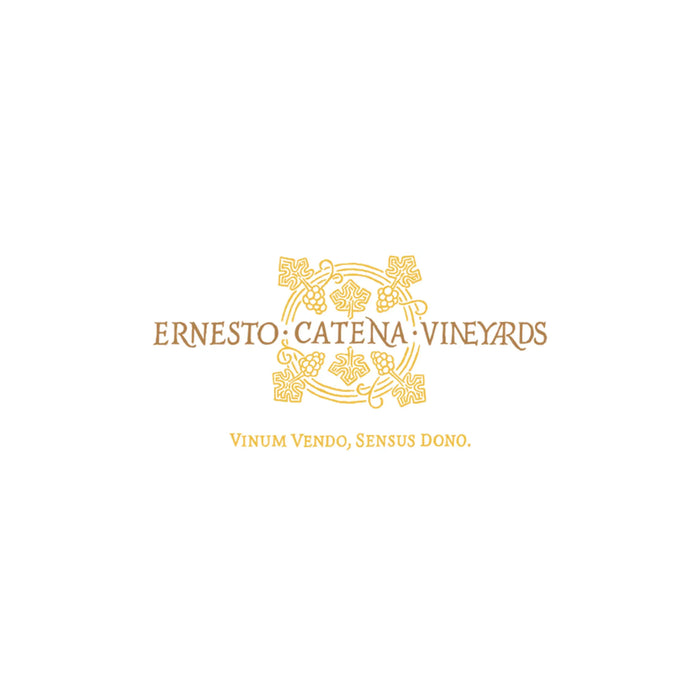 El-vino-como-obra-de-arte-la-visión-de-Ernesto-Catena 0es3.store