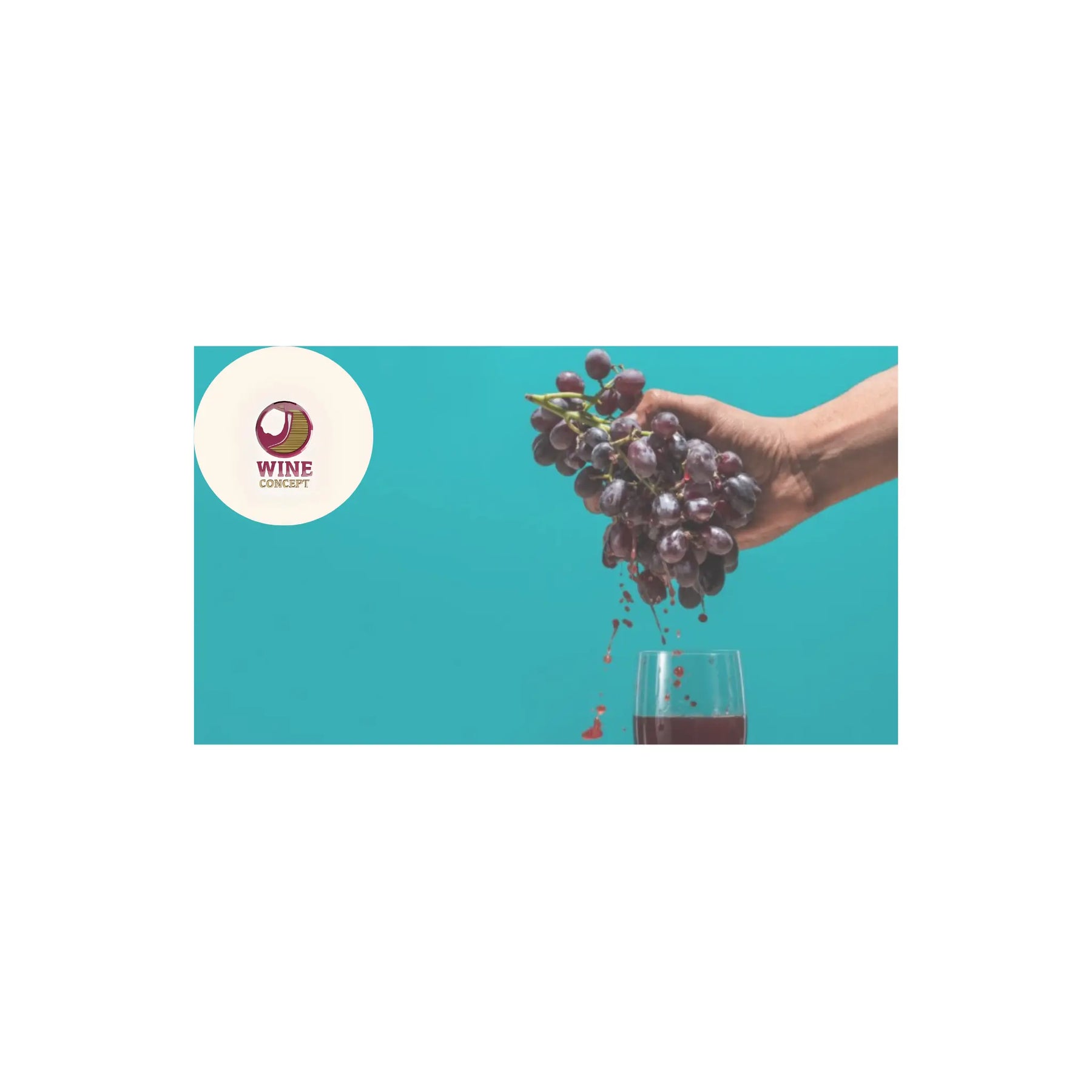 Malbecs-orgánicos-y-biodinámicos-la-nueva-conciencia-del-vino-argentino 0es3.store
