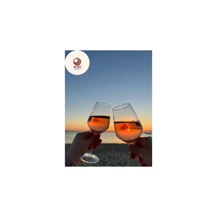 El-silencio-después-del-brindis 0es3.store