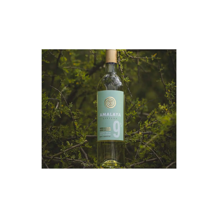 Amalaya-Liviano-Blanco 0es3.store