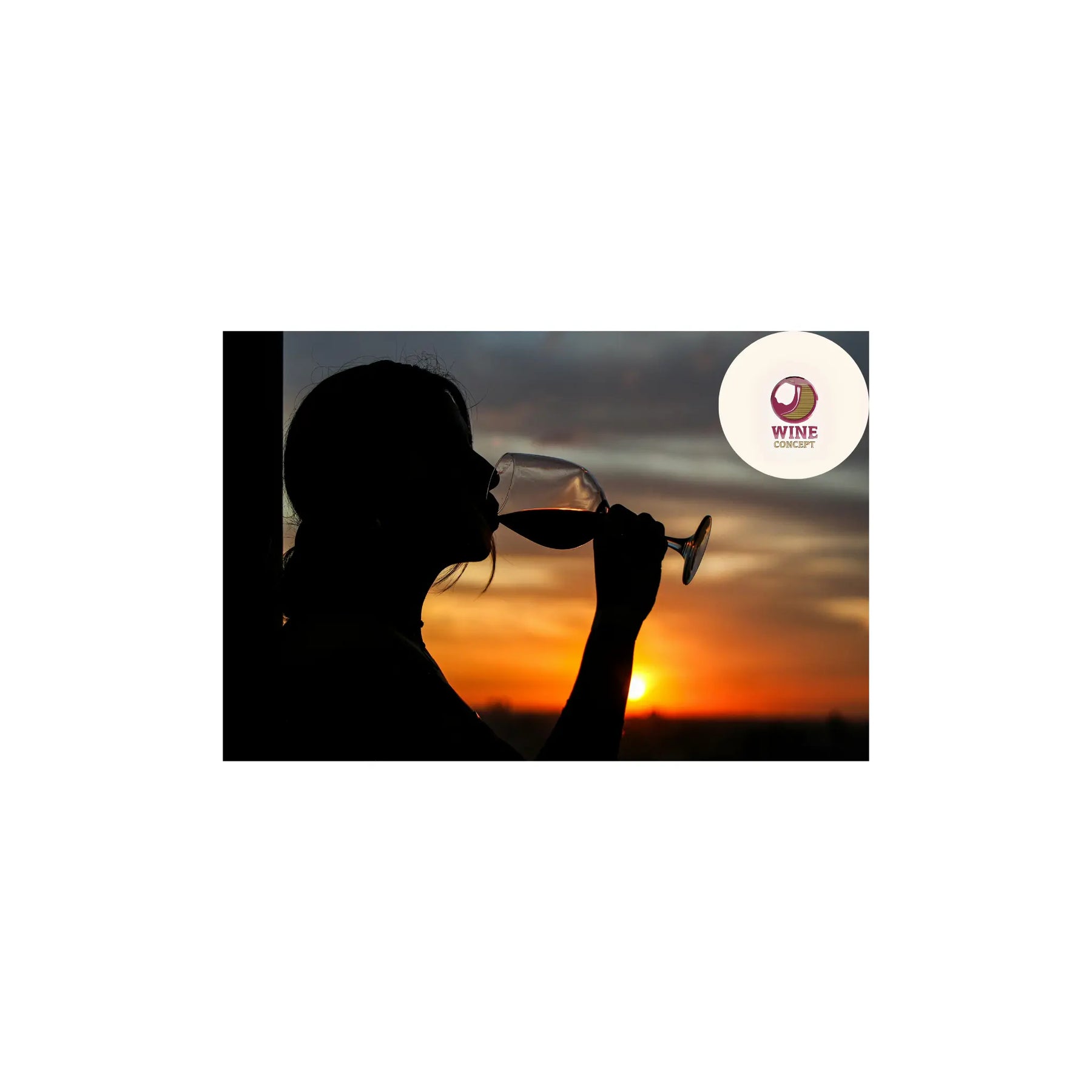 Cómo-aprender-a-tomar-vino-una-guía-sin-reglas-pero-con-propósito 0es3.store