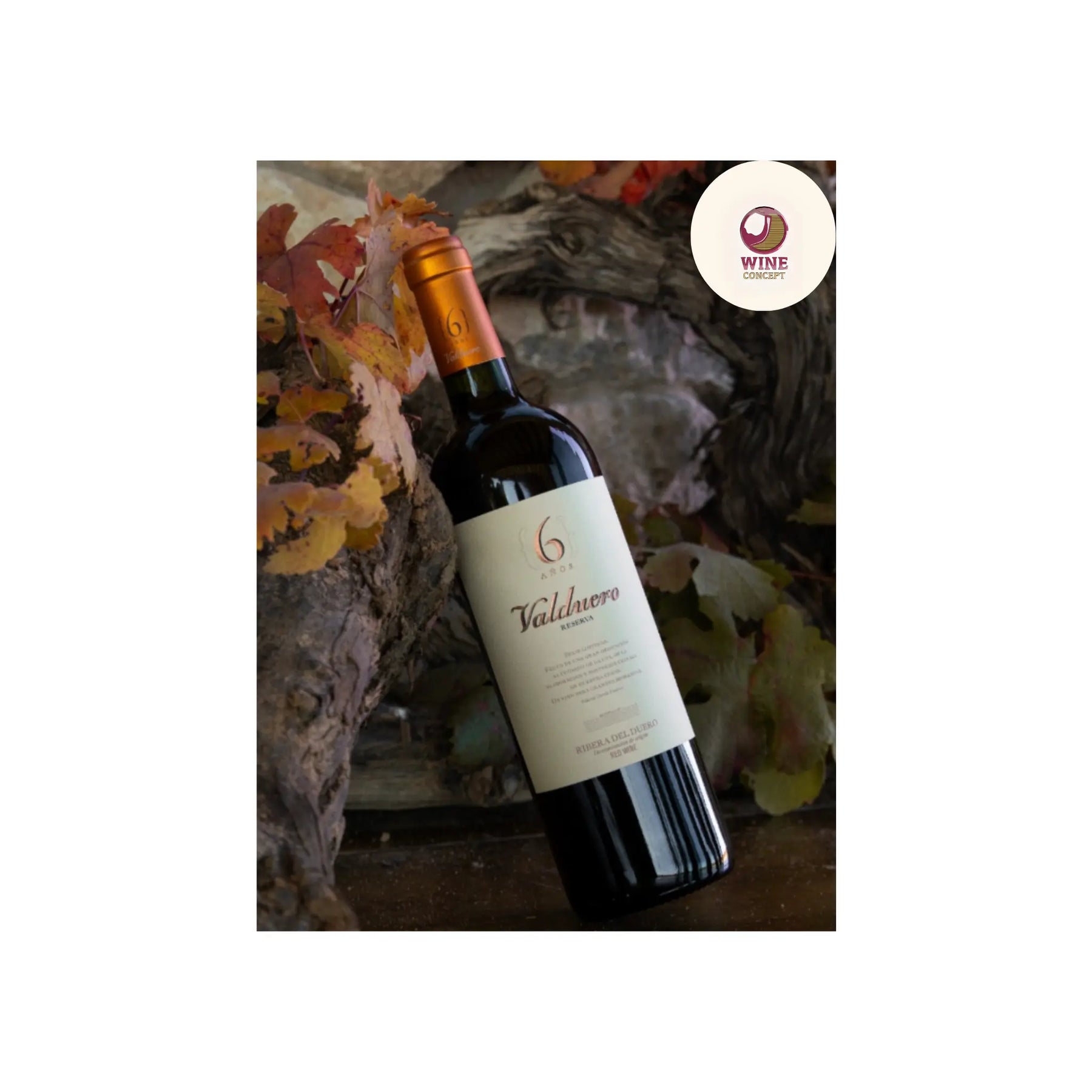 Valduero Reserva 6 Años Premium: cuando el tiempo se convierte en vino 0es3.store