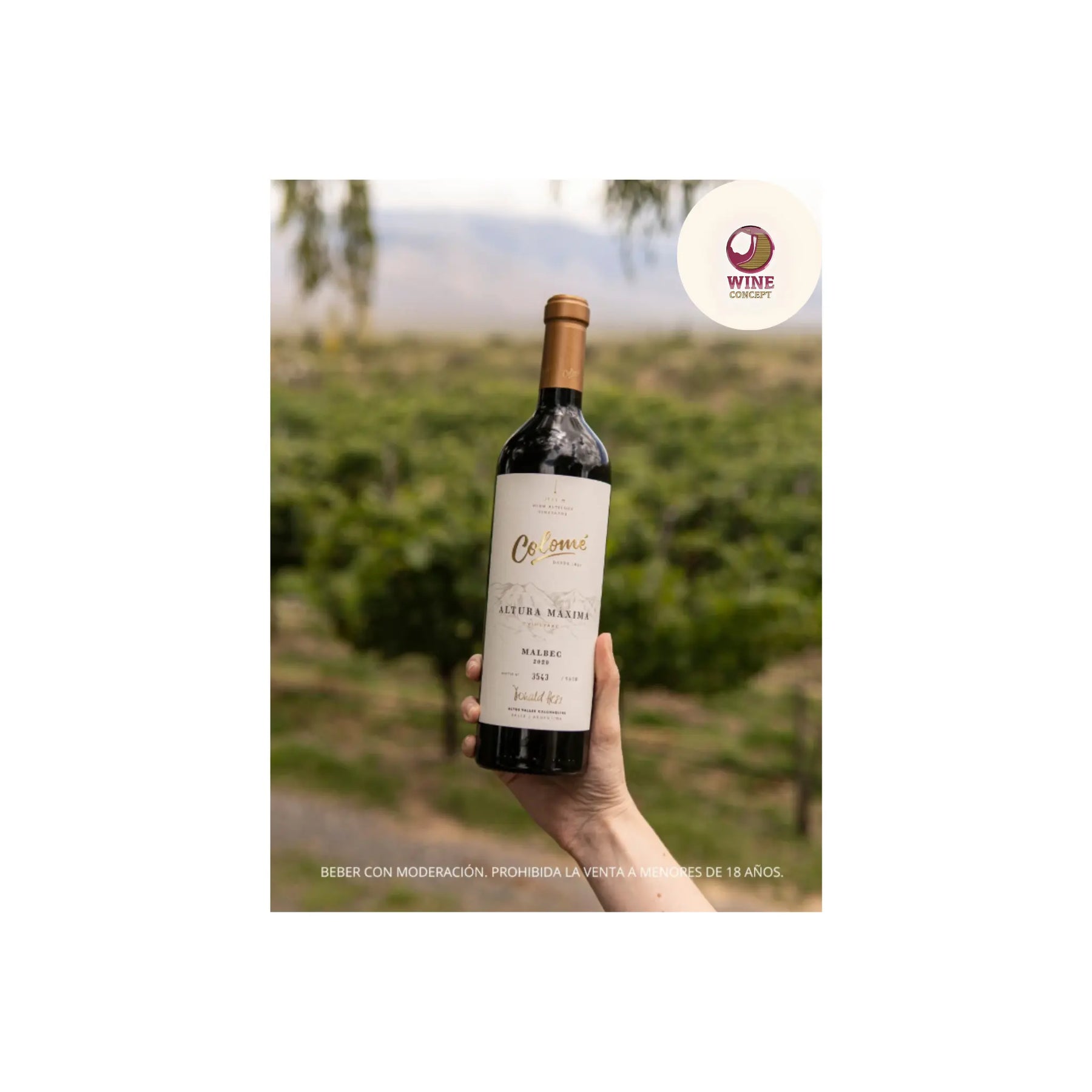 Colomé Altura Máxima Malbec: el vino que nació donde la montaña toca el cielo 0es3.store