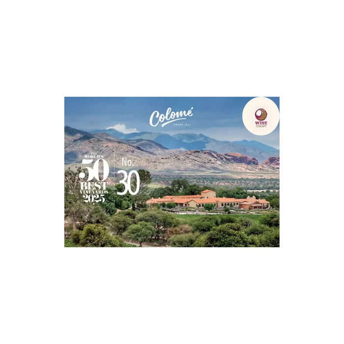 Bodega Colomé: cuando la altura se convierte en excelencia 0es3.store
