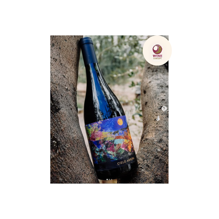 Cielo Arriba: el Malbec que nació cerca del cielo