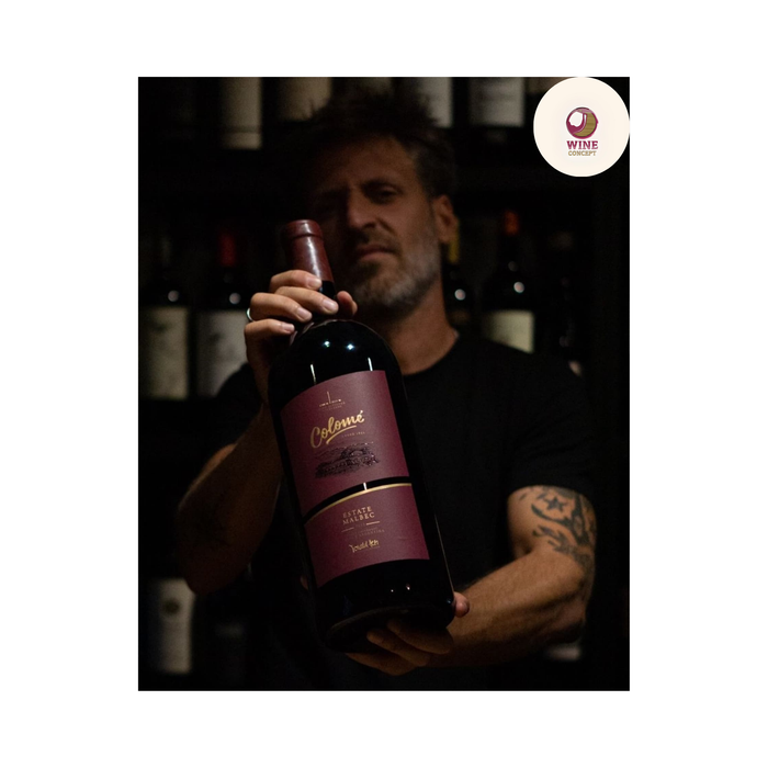 🍷 Colomé: cuando la altura cambia la perspectiva del vino