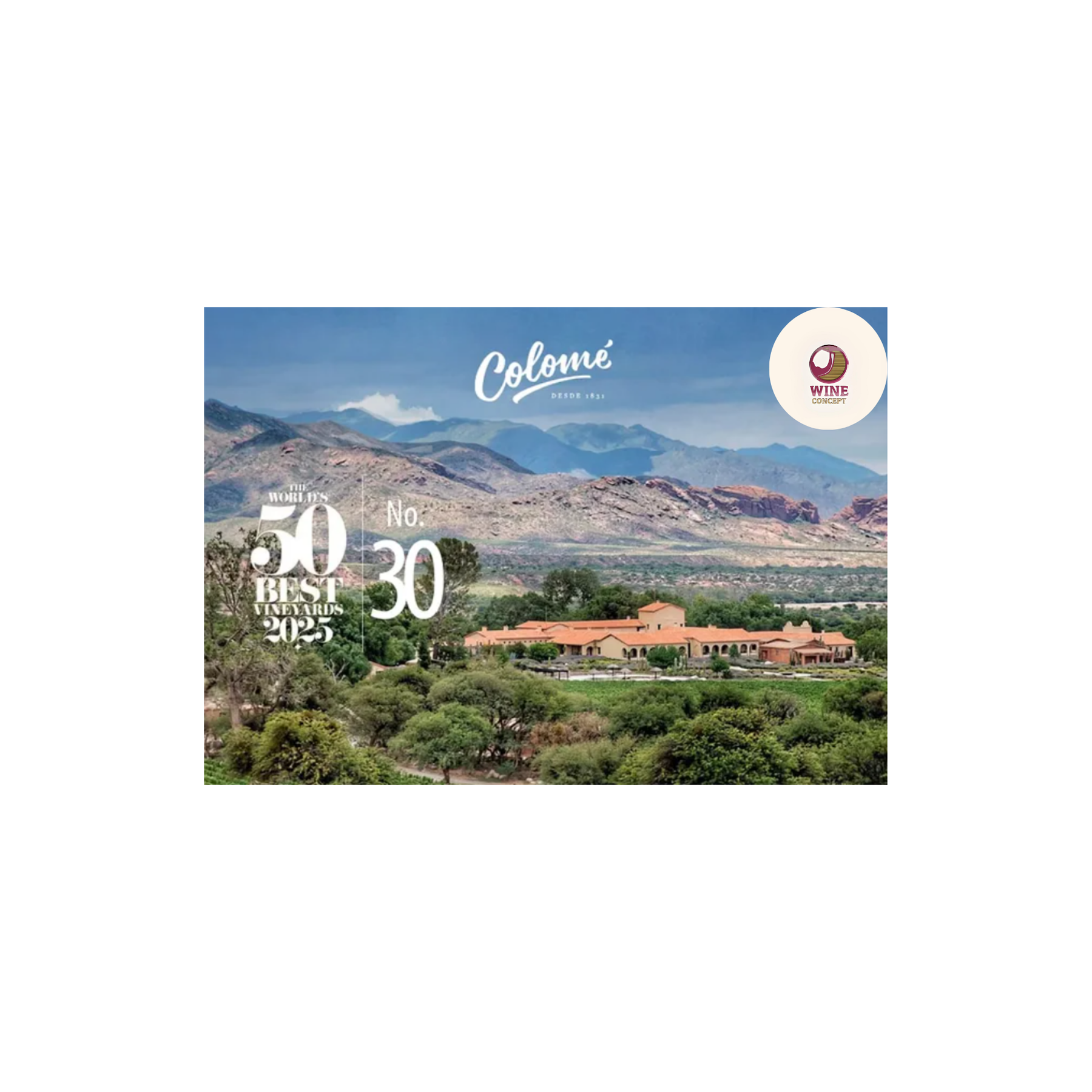 Bodega Colomé: cuando la altura se convierte en excelencia