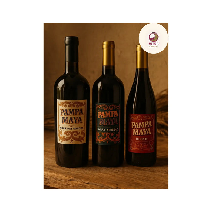 Pampa Maya: el vino mexicano que nació de una idea de Wine Concept 0es3.store
