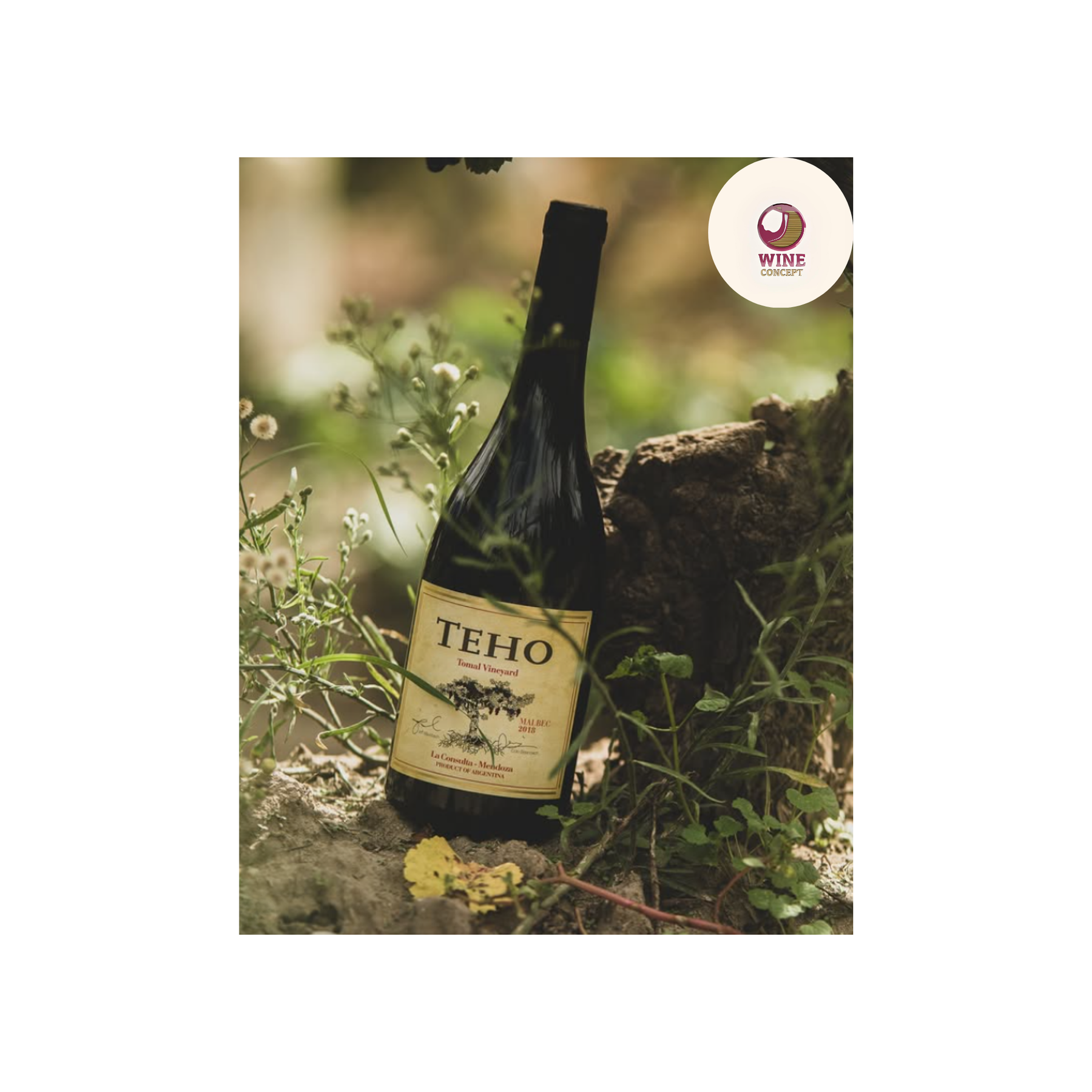 Teho Malbec: cuando el Malbec deja que la tierra hable