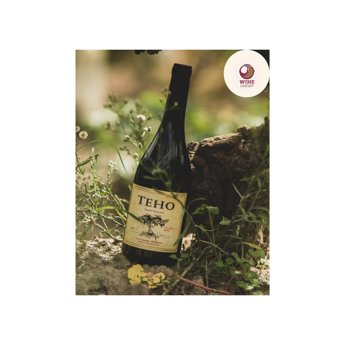 Teho Malbec: cuando el Malbec deja que la tierra hable