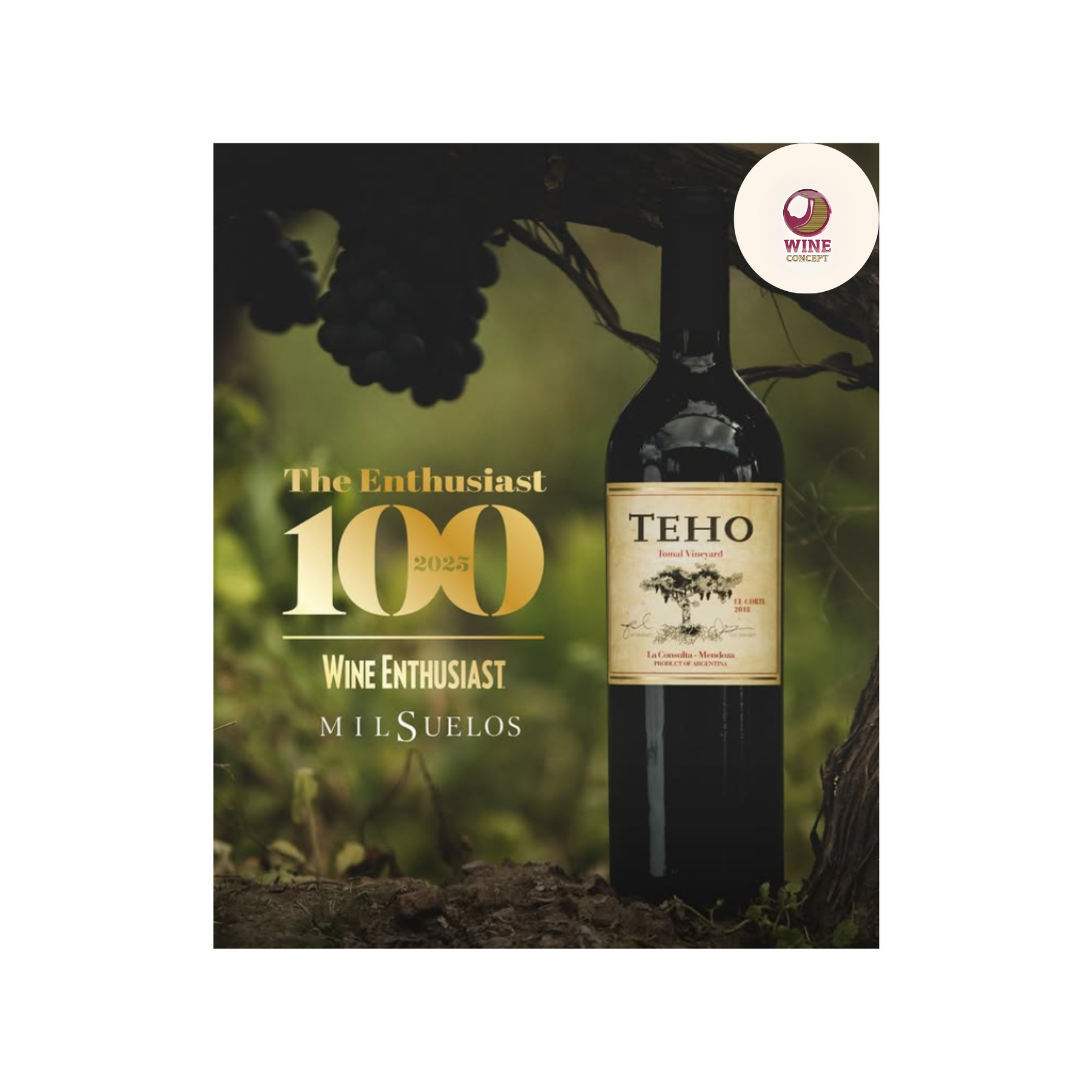 Teho El Corte: 100 puntos para un vino que quería demostrar algo