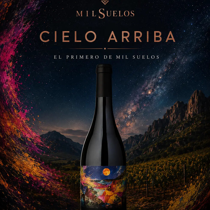 Cielo Arriba Malbec: cuando entendí por qué algunos vinos apuntan hacia las alturas 0es3.store