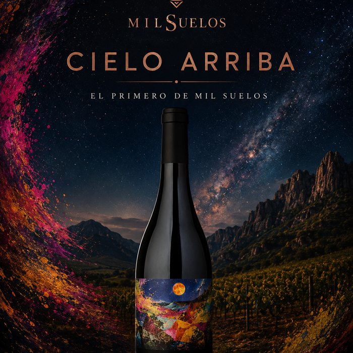 Cielo Arriba Malbec: cuando entendí por qué algunos vinos apuntan hacia las alturas