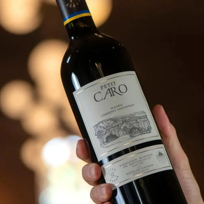 Petit-Caro-La-elegancia-Francia-argentina-en-su-forma-más-accesible-Un-tributo-joven-al-linaje-de-dos-mundos-del-vino 0es3.store