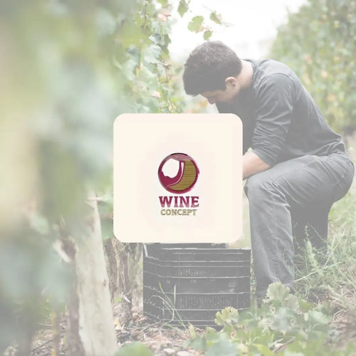 Historia-del-vino-en-Argentina 0es3.store