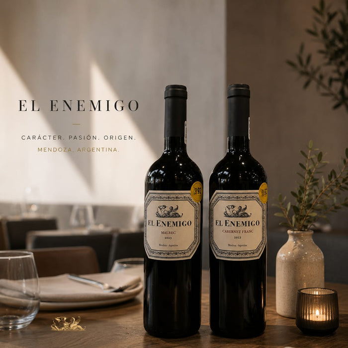 ¿Por qué el vino argentino es tan reconocido en el mundo?