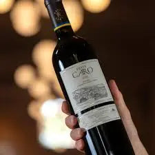 🍇 Rochill, Adrianna Catena & Bodegas CARO 0es3.store