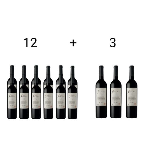Familia Gascón Syrah (Promoción De Mundial) Escorihuela