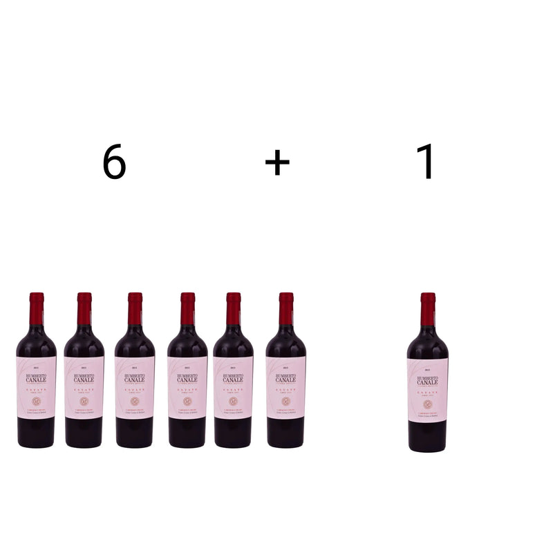 Humberto Canale Estate Cabernet Franc (Promoción Del Mundial) Humberto Canale