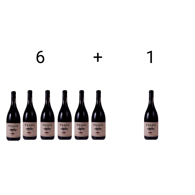 Teho Malbec (Promoción Del Mundial) Mil Suelos