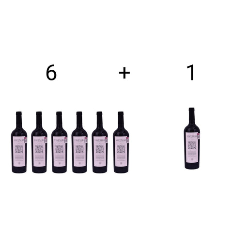 Vistalba Corte B (Promoción del Mundial) WineConcept